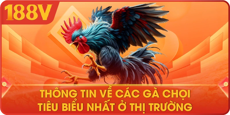 Thông tin về các gà chọi tiêu biểu nhất ở thị trường